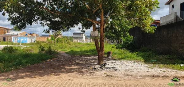 Terreno Lote em Novo Horizonte, Valença/BA