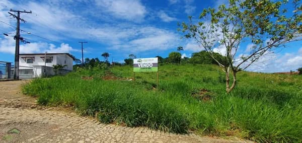 Excelente oportunidade de investimento em um terreno de 266