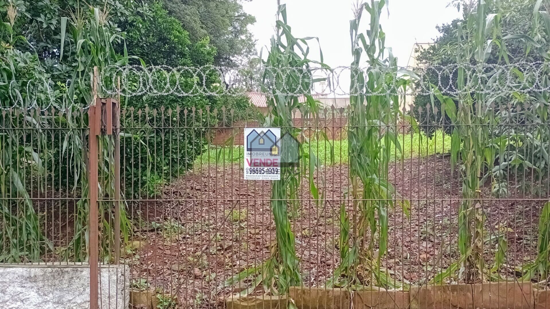 Terreno amplo com frente Norte