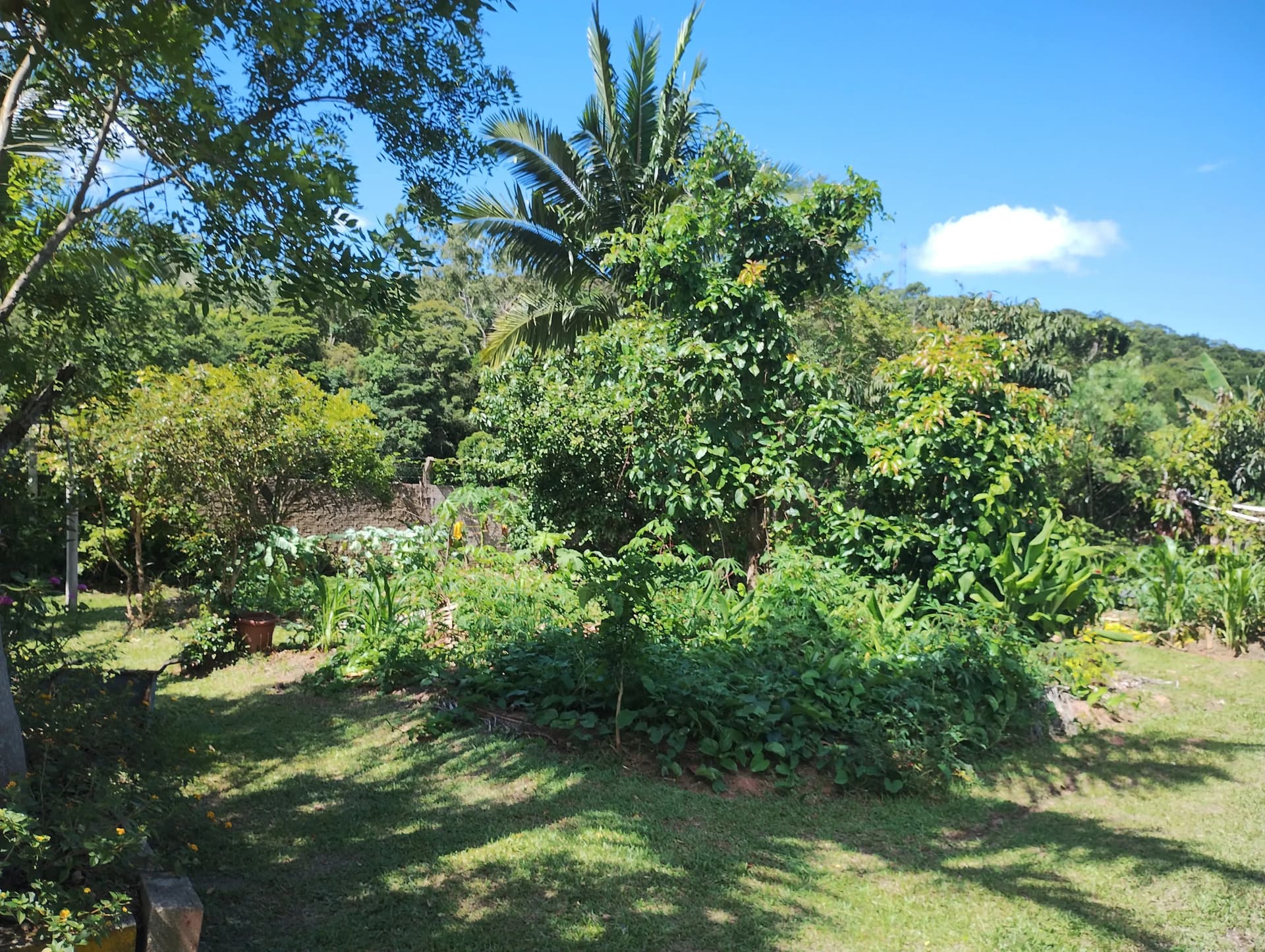 Sítio à venda no bairro Braço em Camboriú/SC