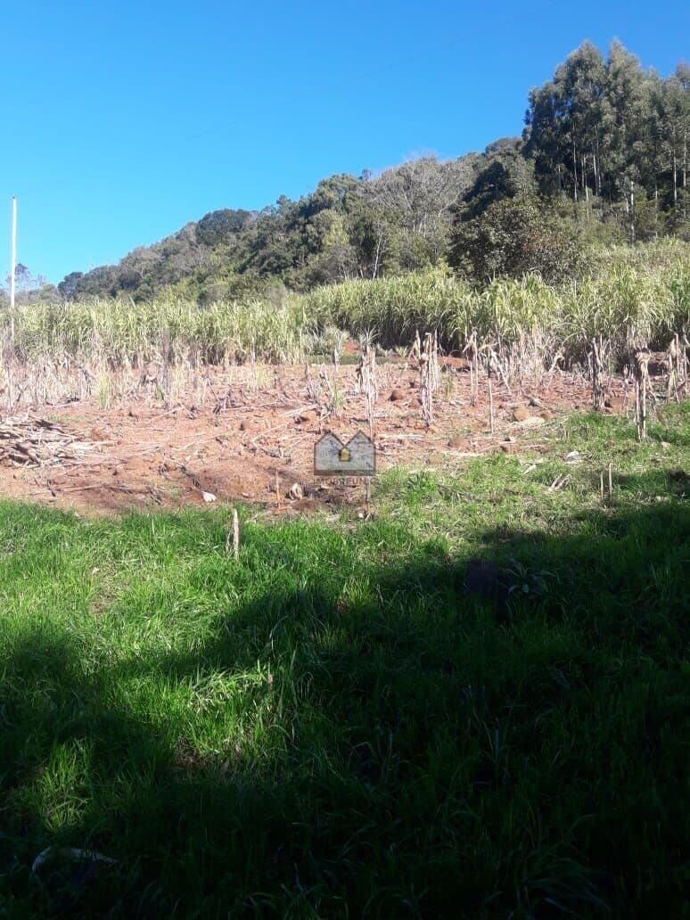 Área à venda em Linha Saraiva - Santa Cruz do Sul/RS