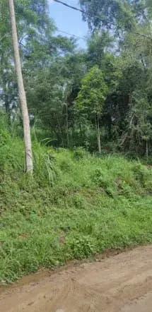 Terreno à venda no bairro Velha em Blumenau/SC