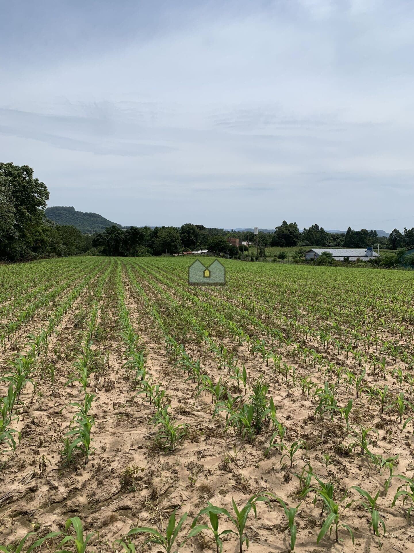 Fazenda/Sítios/Chácaras em Santa Cruz do Sul - Pinheiral