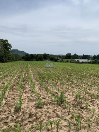 Fazenda/Sítios/Chácaras em Santa Cruz do Sul - Pinheiral