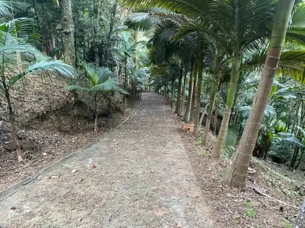 Sítio à venda no bairro Contate Para Endereço em Camboriú/SC