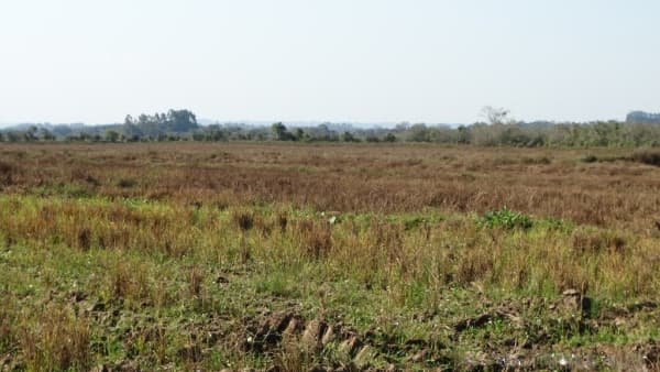 Área de terras