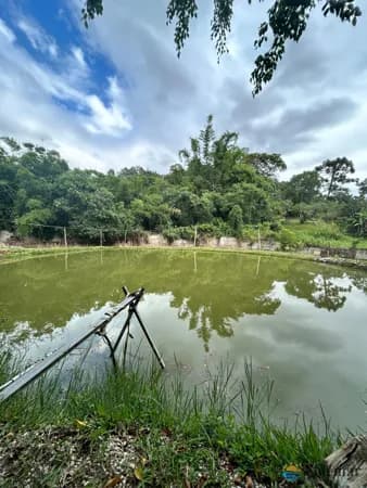 Chácara - Propriedade dos Sonhos à Venda! 🌟- 📍 7500m² totalmente planos e murados 📜 Documentação completa: Matrícula e escritura em dia ✅