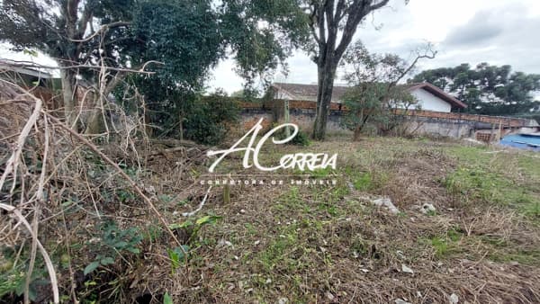 Terreno Vista Alegre Ótima Região
