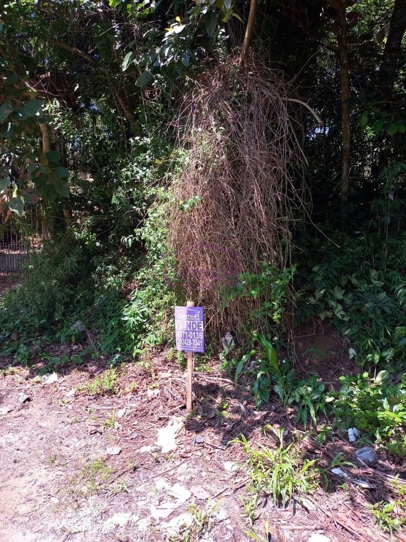 Terreno à venda, 1.000 m² por R$ 130.000 - Cidade Recreio da Borda do Campo - Santo André/SP