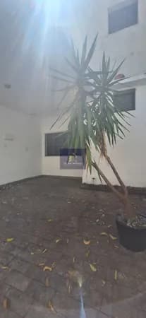 Casa Para alugar no Planalto Paulista?!