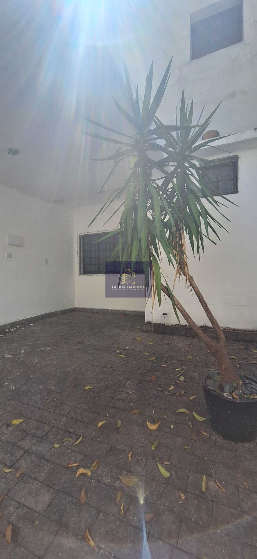 Casa Para alugar no Planalto Paulista?!
