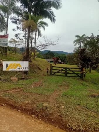 Fazenda/Sítios/Chácaras em Guaraqueçaba - Centro