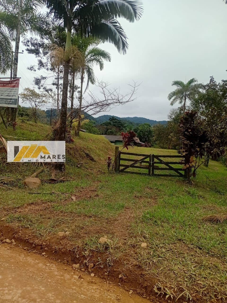 Fazenda/Sítios/Chácaras em Guaraqueçaba - Centro