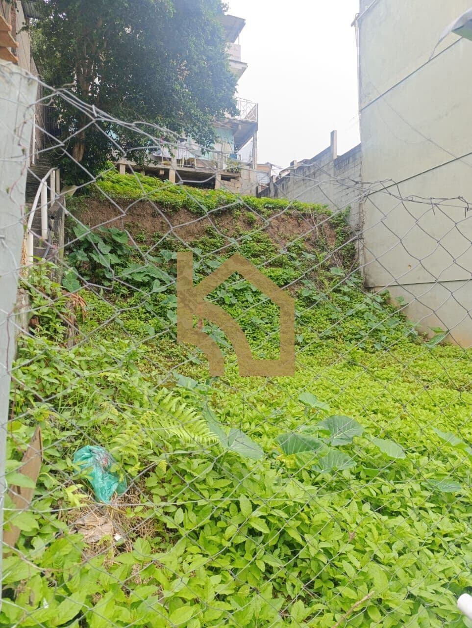 LOTE EM OLARIA