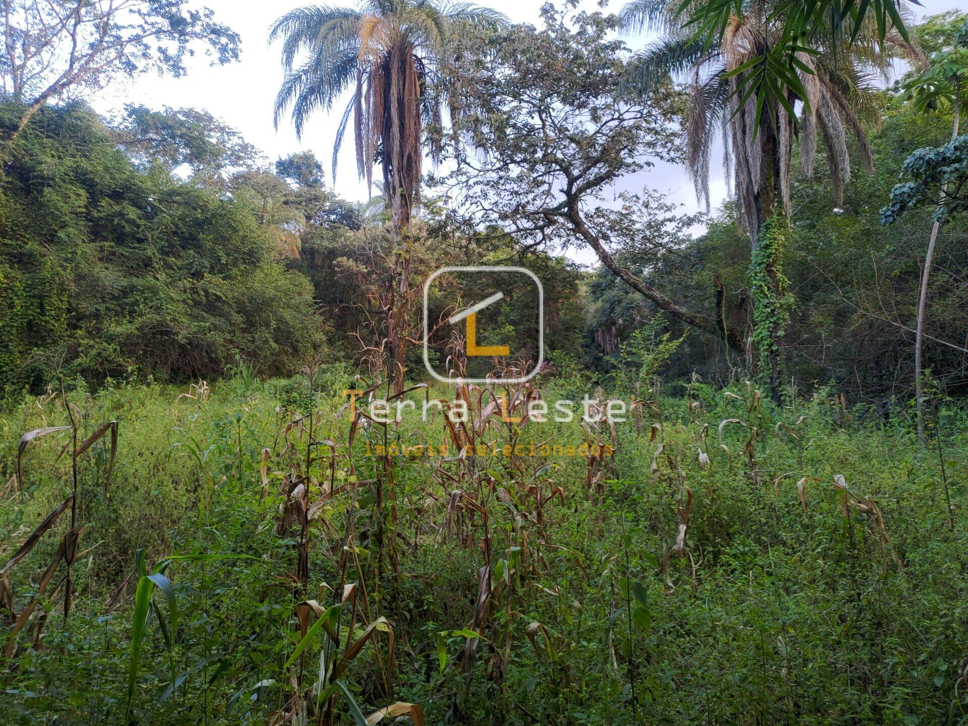 Lote/Terreno em Brumadinho - Piedade do Paraopeba