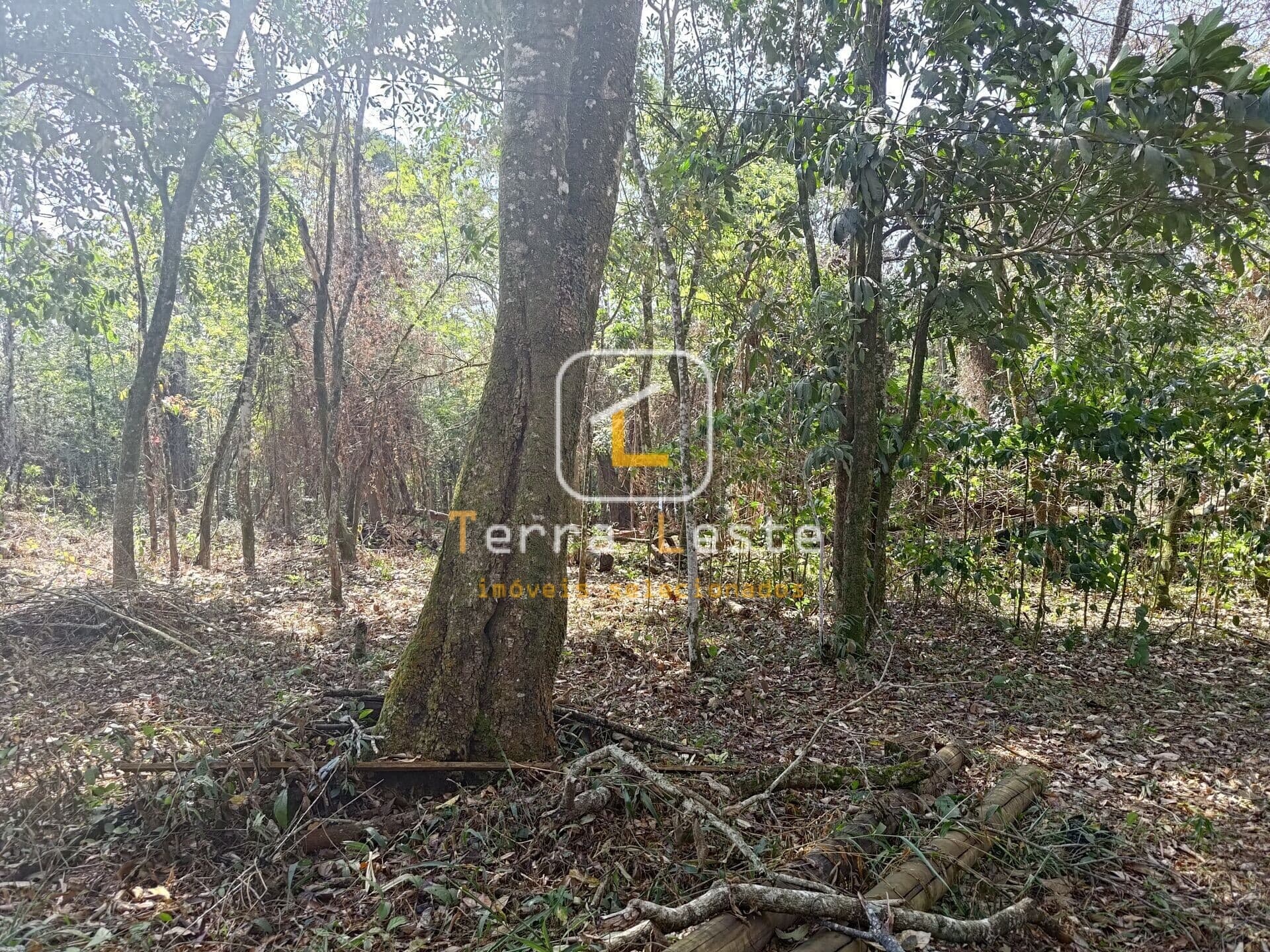 Lote/Terreno em Brumadinho - Aranha