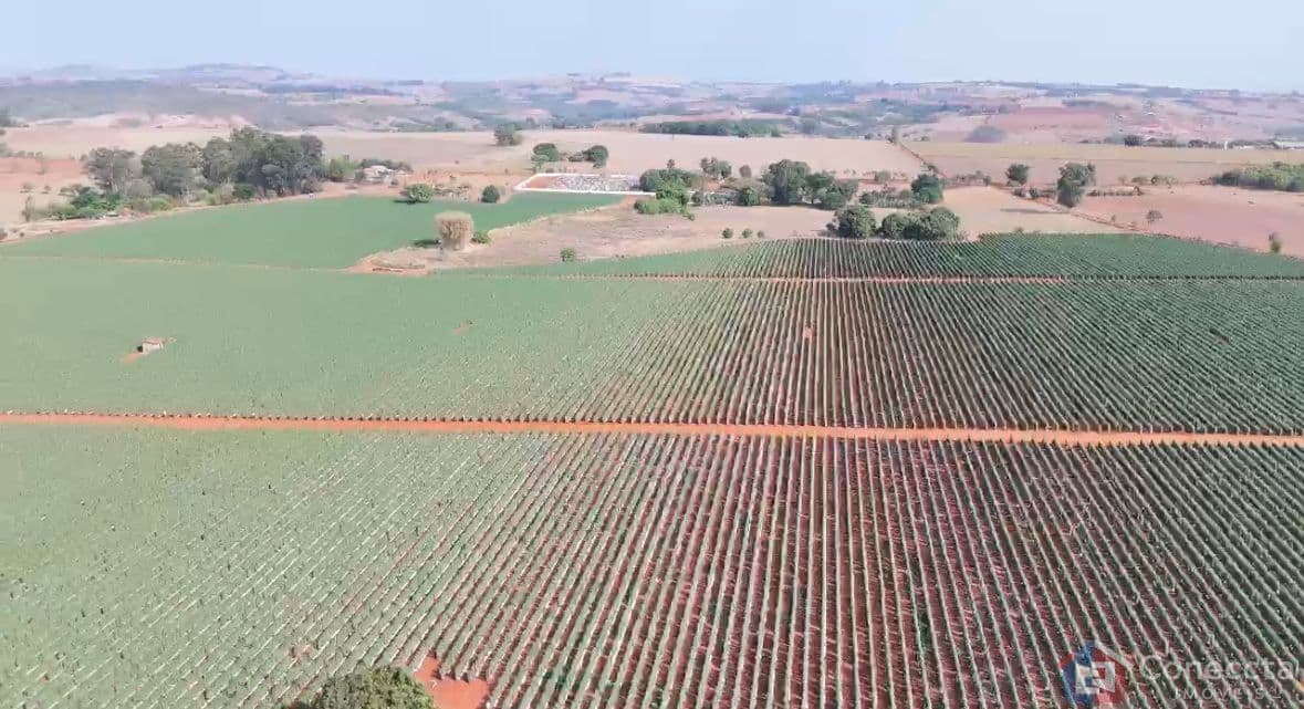 Fazenda à Venda em Patos de Minas – 46 ha, Arrendada, com Energia e Alta Rentabilidade