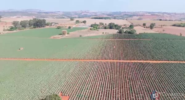Fazenda à Venda em Patos de Minas – 46 ha, Arrendada, com Energia e Alta Rentabilidade