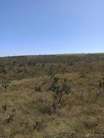 Fazenda 303 hectares em Patos de Minas com potencial para compensação ambiental e fruticultura