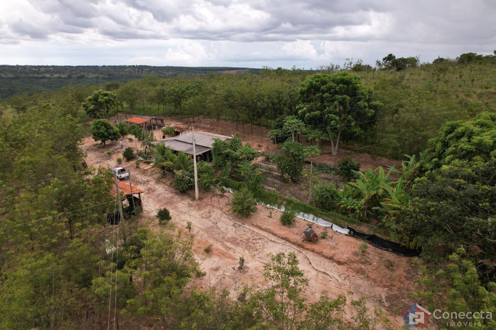 Fazenda em Centro, Presidente Olegário/MG