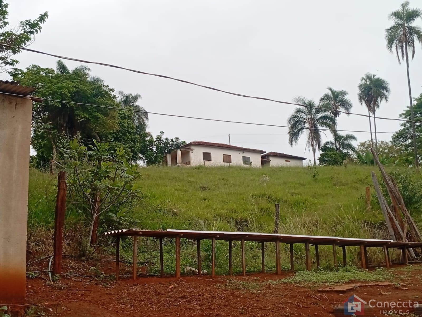 Fazenda à Venda em Patos de Minas – 6 Hectares na Zona Rural por R$ 1,8 Mi