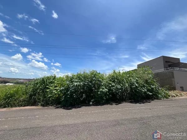 Terreno à Venda no Bairro Afonso Queiroz em Patos de Minas-MG Terreno de 231m² com Excelente Localização no Bairro Afonso Queiroz