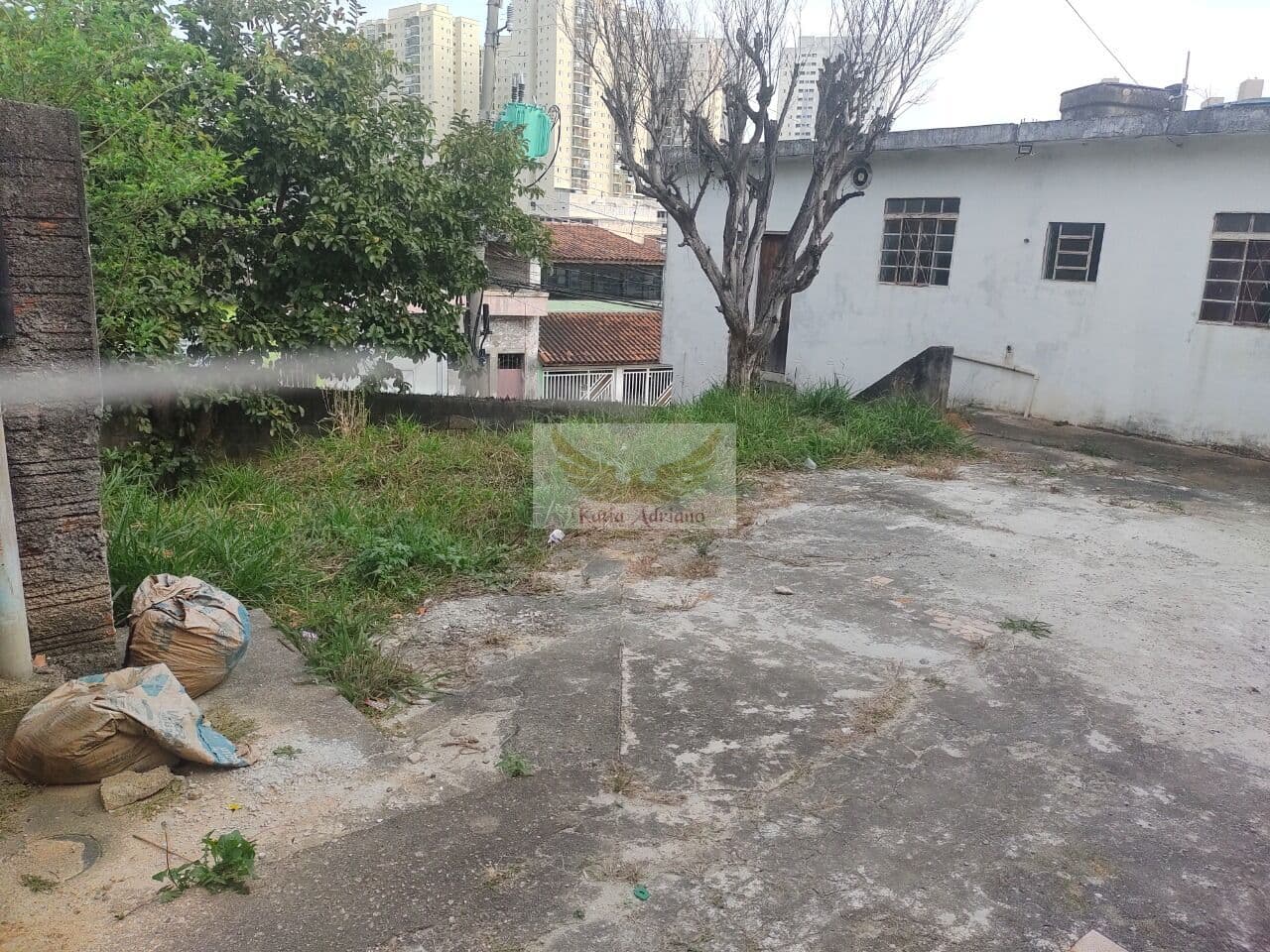 Excelente Investimento
