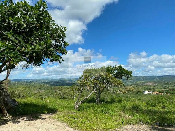 Lote/Terreno em Gravatá - Centro