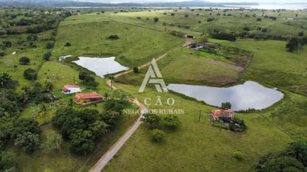 Fazenda Pecuária Reconcavo Baiano