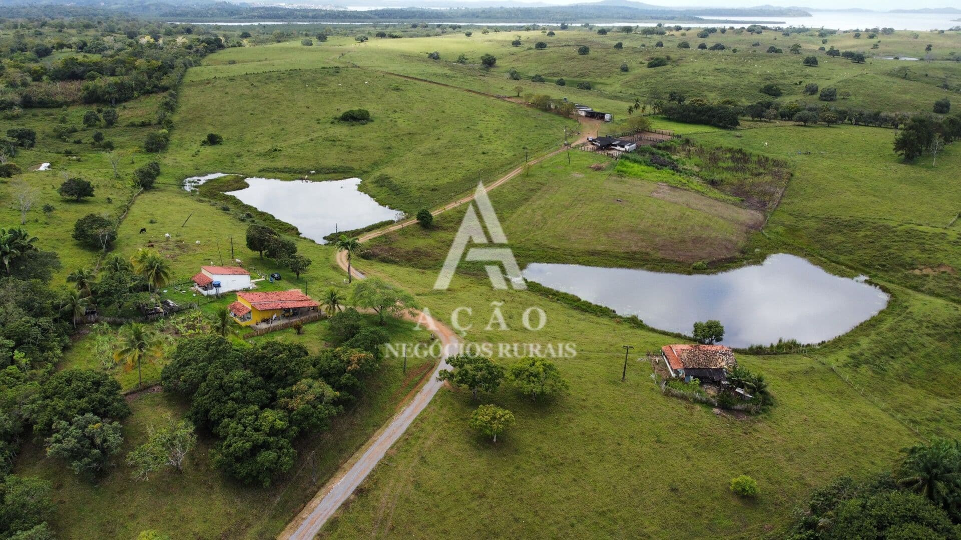 Fazenda Pecuária Reconcavo Baiano