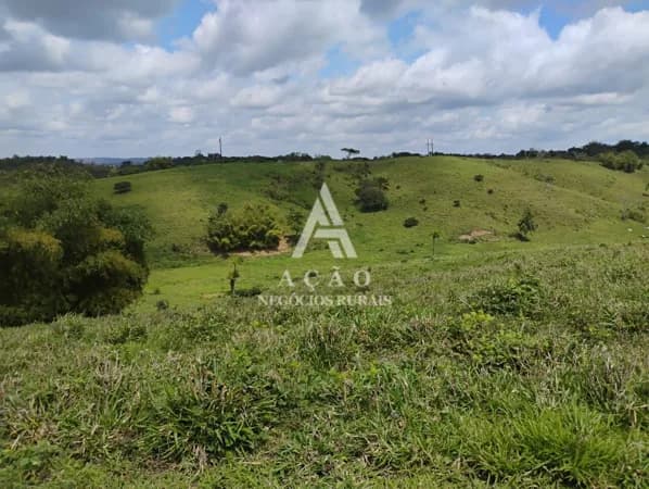 Fazenda Santo Amaro