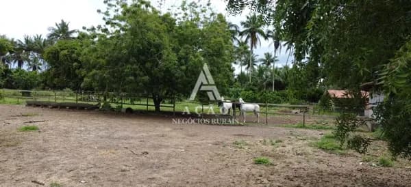 Fazenda/Sítios/Chácaras em Santo Amaro - Campinhos