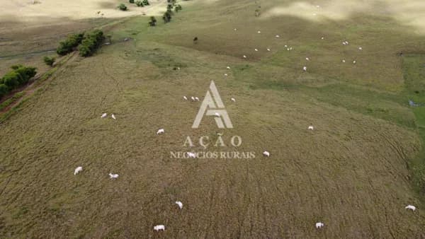 Fazenda Pecuária Reconcavo da bahia