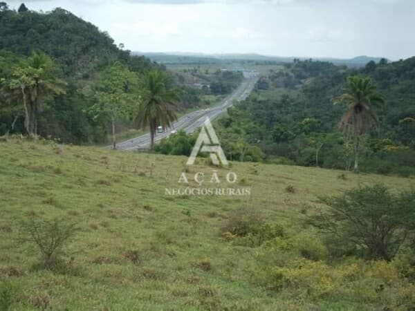 Fazenda Amelia Rodrigues