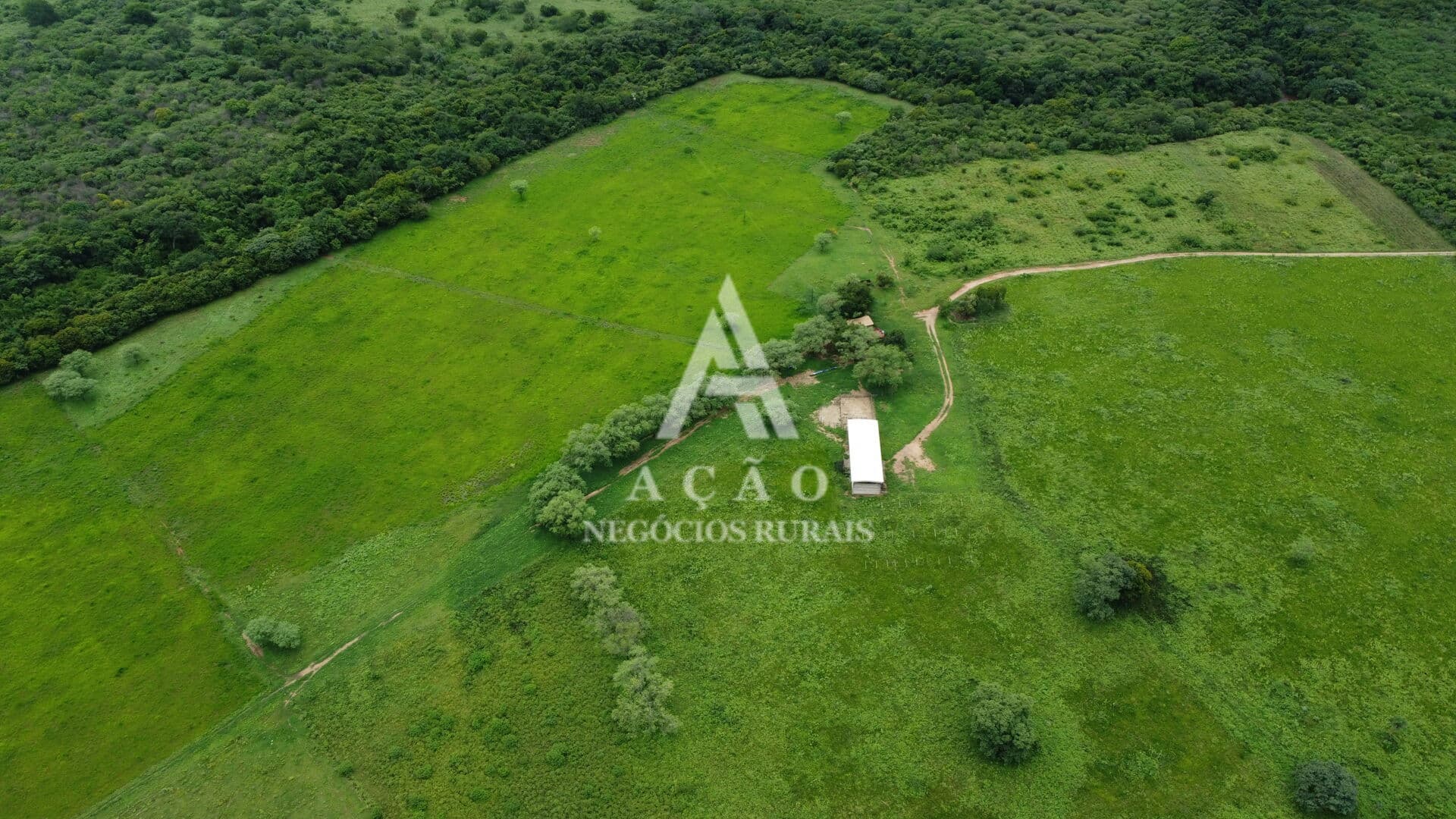 Fazenda Produtiva Pindobaçu