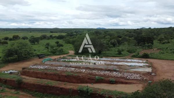 Fazenda Pecuária Irrigada