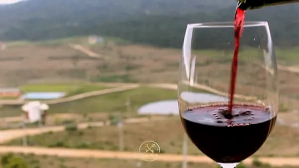 Terreno em Condomínio fechada na Serra Catarinense