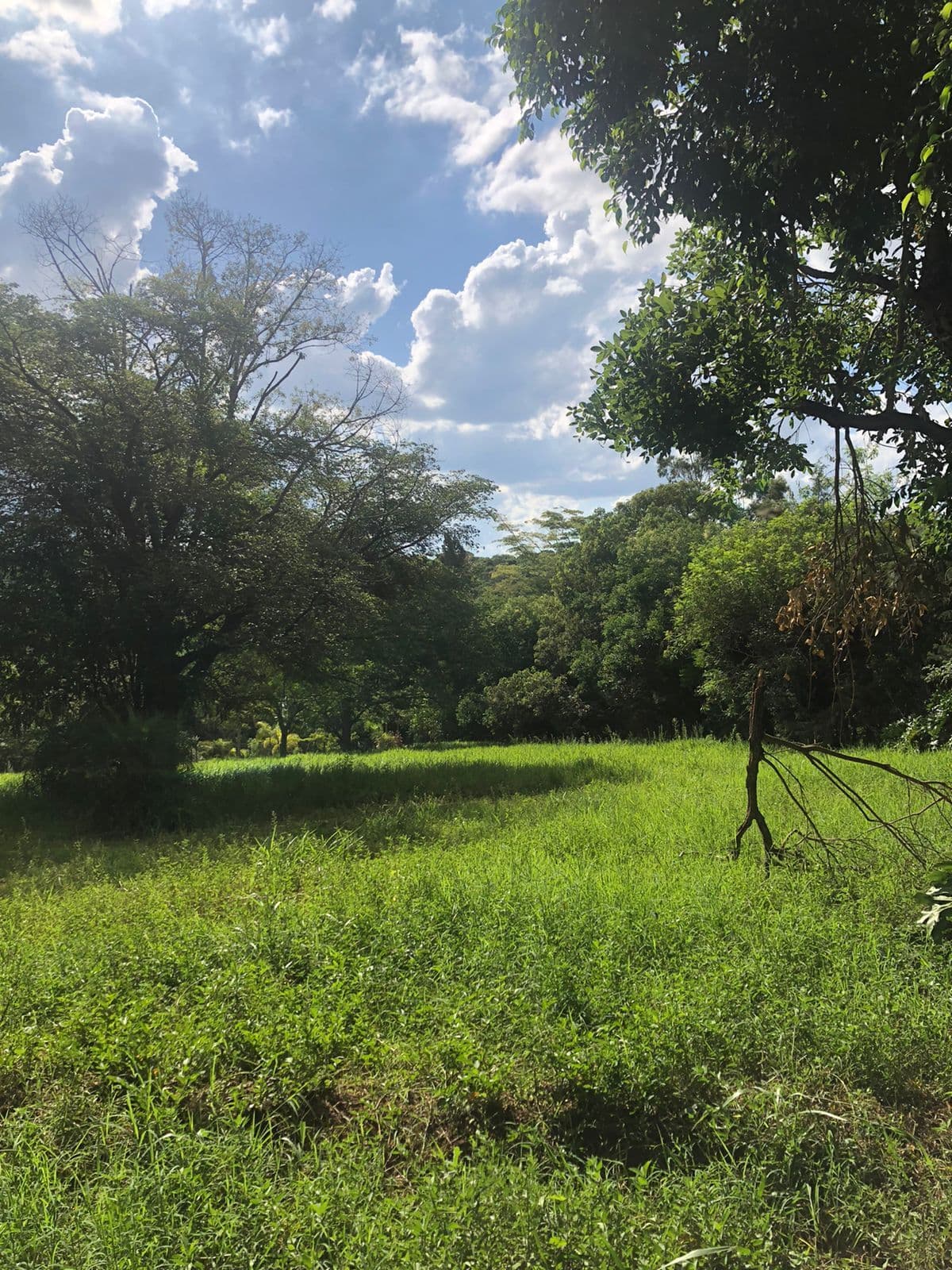 Terreno em Condomínio em Chácara Capão Bonito, Botucatu/SP