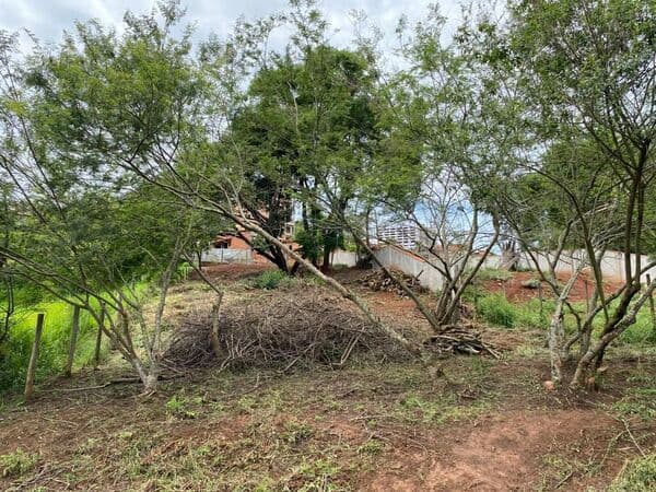 Lote/Terreno em Botucatu - Vila São Lúcio