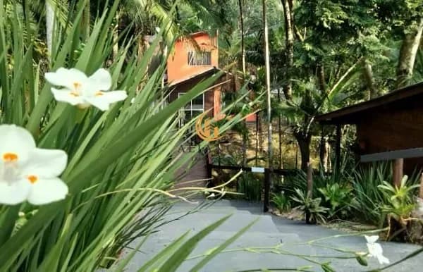 Sítio em Sul do Rio, Santo Amaro da Imperatriz/SC