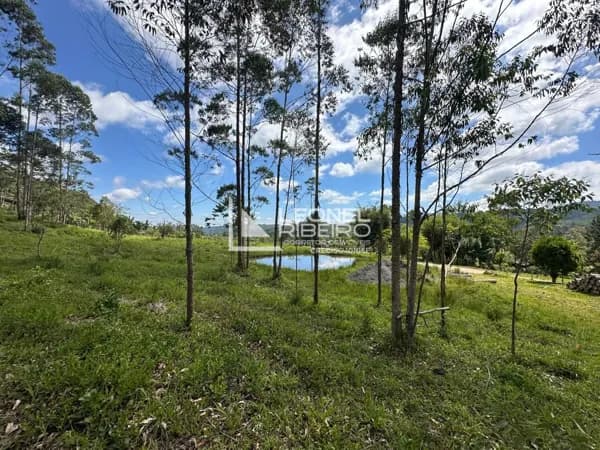 Terreno rural à venda, 79.706m² no bairro Alto Liberdade em Benedito Novo/SC