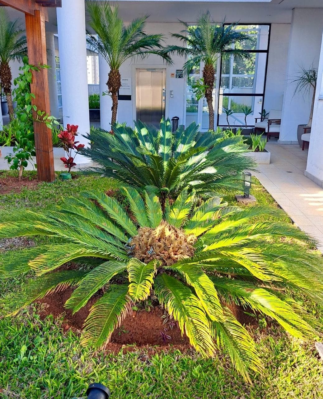 APARTAMENTO MOBILIADO PRONTO