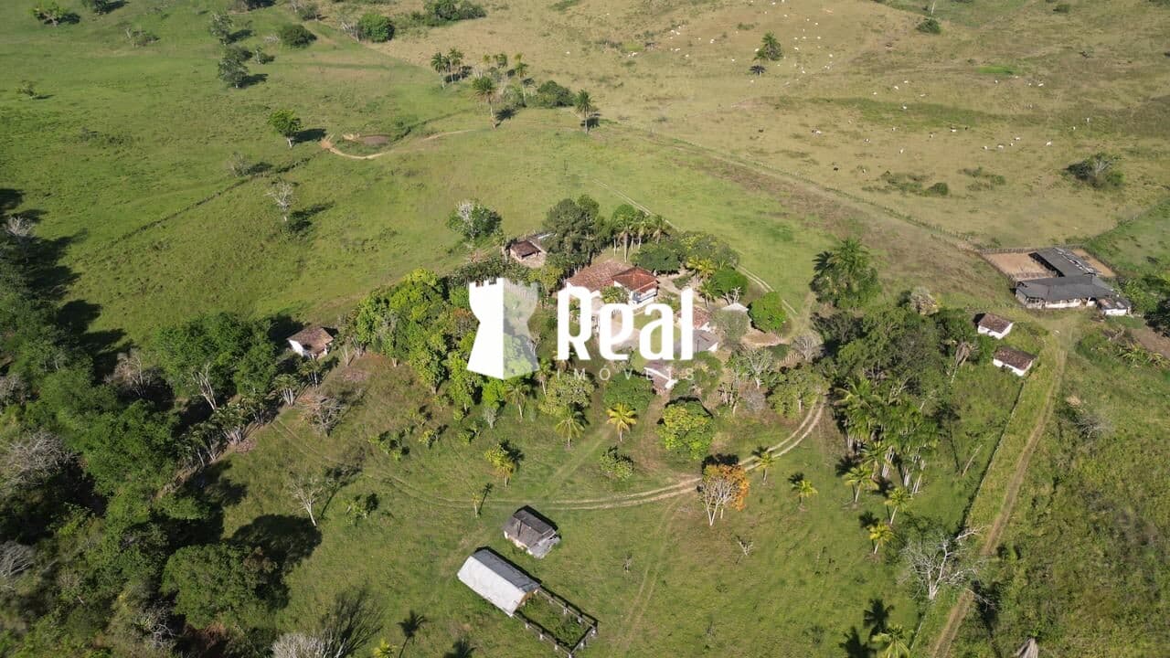 Fazenda Mata de São João - 70km de Salvador