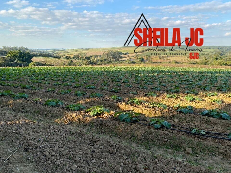 Fazenda/Sítios/Chácaras em Elias Fausto - RURAL