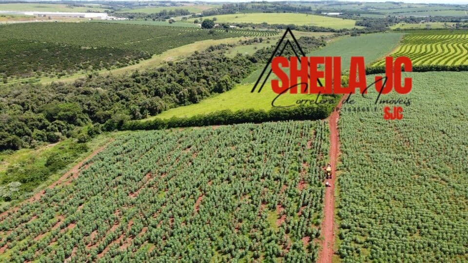 Fazenda/Sítios/Chácaras em Mogi Mirim - Área Rural de Mogi Mirim