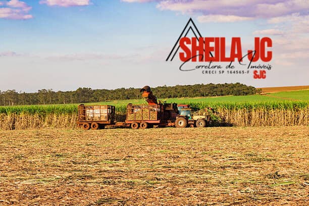 Fazenda/Sítios/Chácaras em Piracicaba - Rural