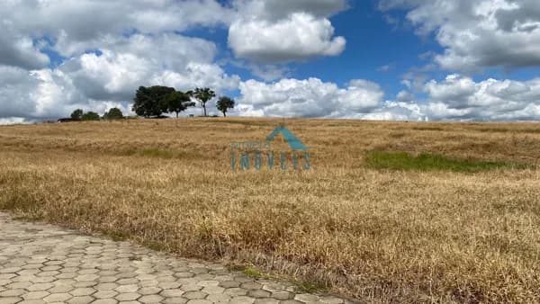 Lote/Terreno em São João Batista do Glória - Mirante da Serra