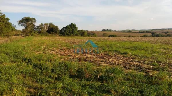 Fazenda/Sítios/Chácaras em Delfinópolis - Babilonia