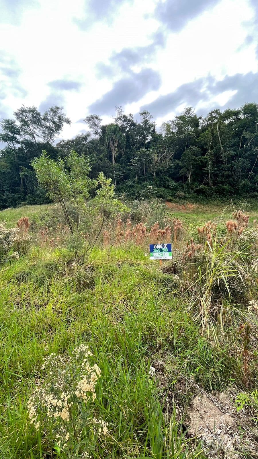 TERRENO LOTEAMENTO PARQUE DAS ORQUÍDEAS