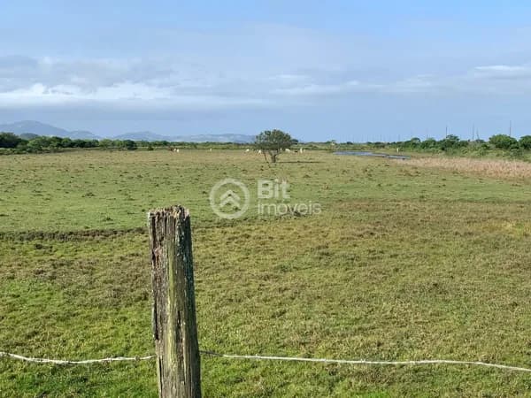 FAZENDA MISTA Á VENDA COM CASA DE MADEIRA